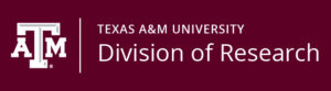 Texas A&M University Vice President of Research